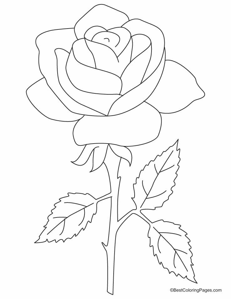 Dibujo para colorear: Rosas (Naturaleza) #161893 - Dibujos para Colorear e Imprimir Gratis