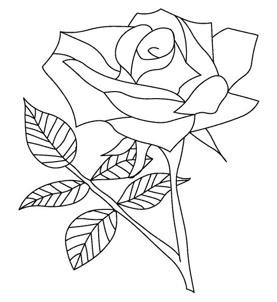 Dibujo para colorear: Rosas (Naturaleza) #161894 - Dibujos para Colorear e Imprimir Gratis