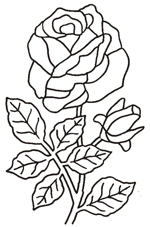 Dibujo para colorear: Rosas (Naturaleza) #161899 - Dibujos para Colorear e Imprimir Gratis