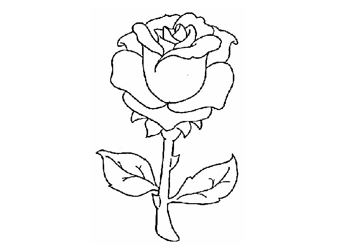 Dibujo para colorear: Rosas (Naturaleza) #161907 - Dibujos para Colorear e Imprimir Gratis