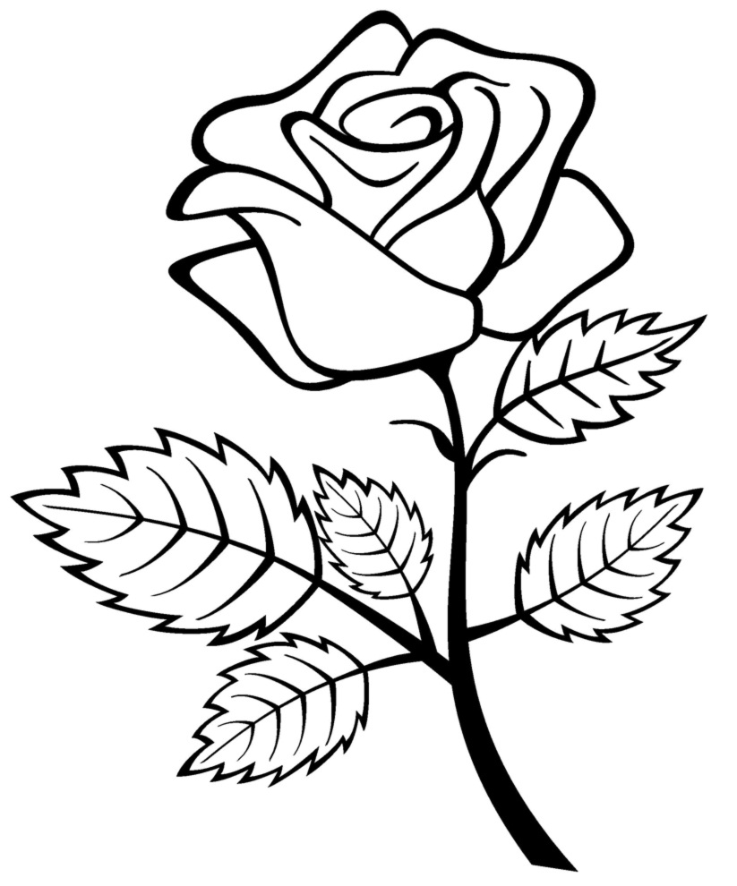 Dibujo para colorear: Rosas (Naturaleza) #161909 - Dibujos para Colorear e Imprimir Gratis