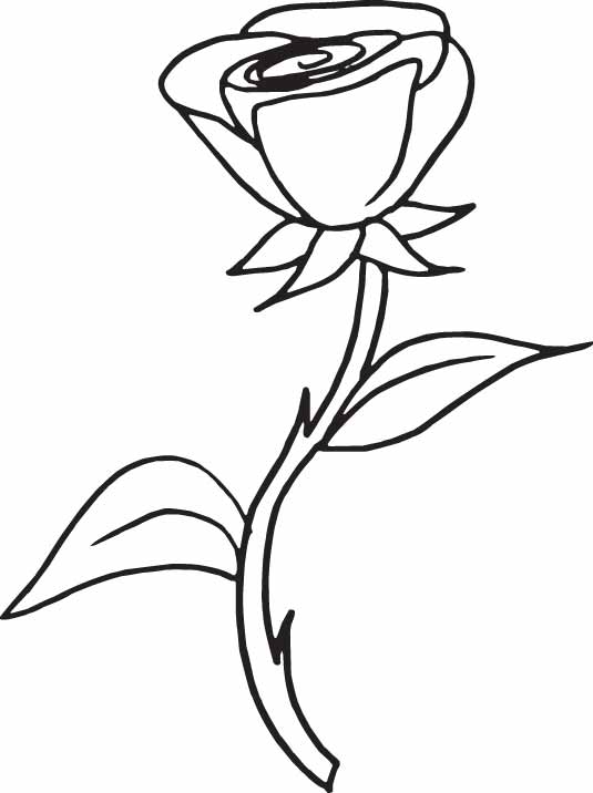 Dibujo para colorear: Rosas (Naturaleza) #161916 - Dibujos para Colorear e Imprimir Gratis