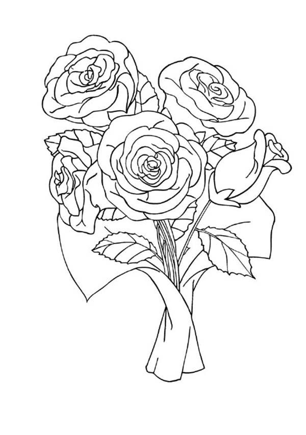 Dibujo para colorear: Rosas (Naturaleza) #161929 - Dibujos para Colorear e Imprimir Gratis
