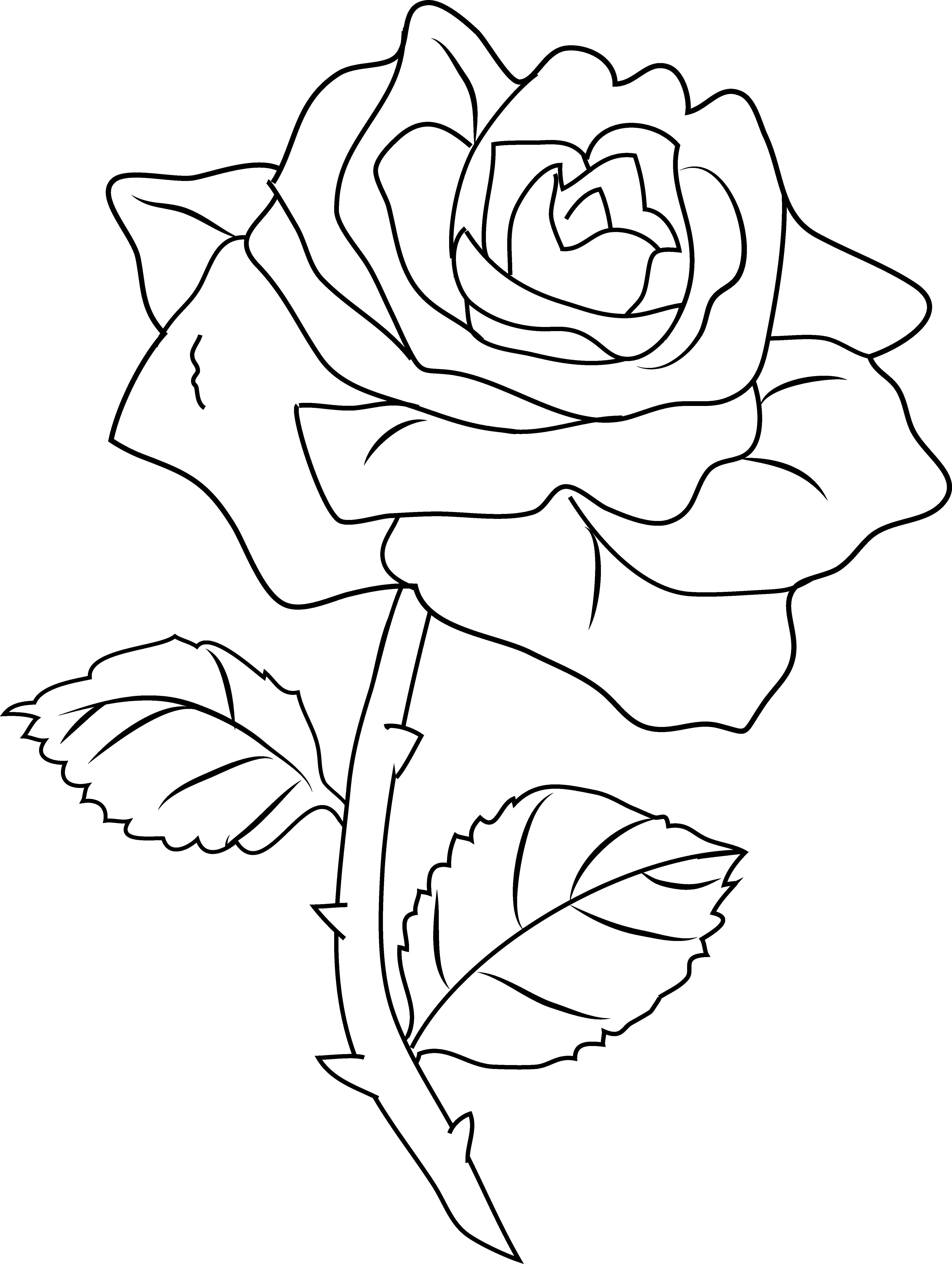 Dibujo para colorear: Rosas (Naturaleza) #161971 - Dibujos para Colorear e Imprimir Gratis