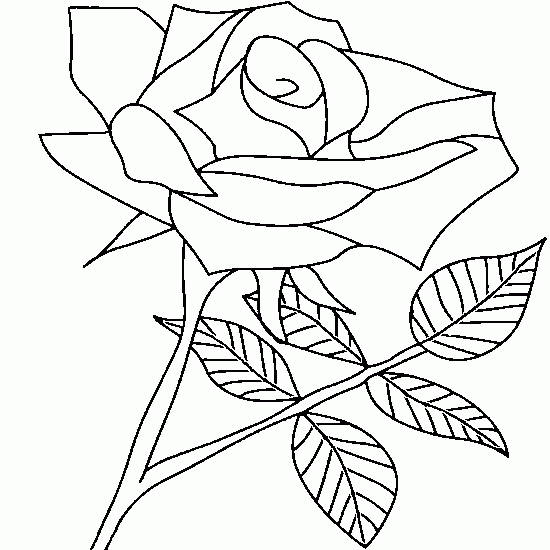 Dibujo para colorear: Rosas (Naturaleza) #161982 - Dibujos para Colorear e Imprimir Gratis