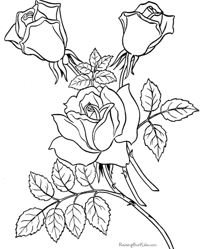 Dibujo para colorear: Rosas (Naturaleza) #161984 - Dibujos para Colorear e Imprimir Gratis