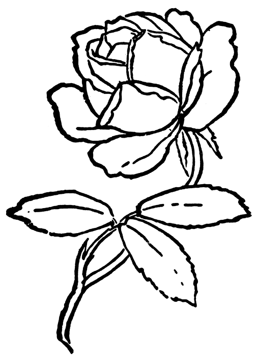 Dibujo para colorear: Rosas (Naturaleza) #161989 - Dibujos para Colorear e Imprimir Gratis