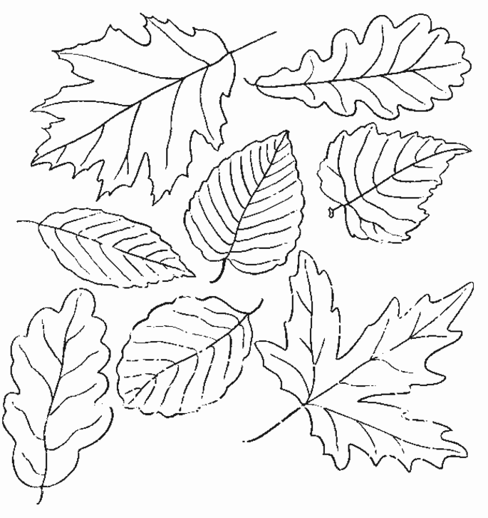 Dibujo para colorear: Temporada de Otoño (Naturaleza) #164052 - Dibujos para Colorear e Imprimir Gratis