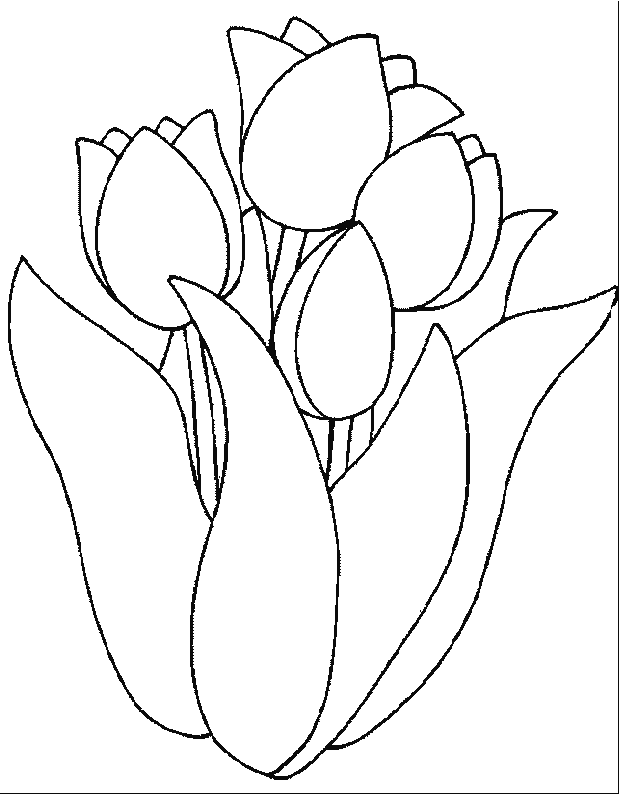 Dibujo para colorear: Tulipán (Naturaleza) #161642 - Dibujos para Colorear e Imprimir Gratis