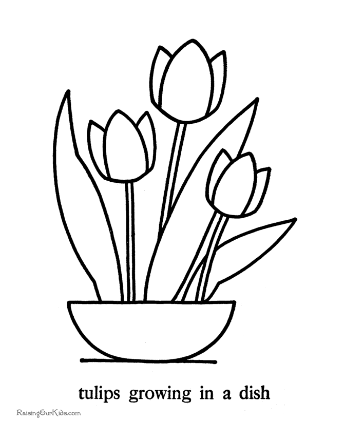 Dibujo para colorear: Tulipán (Naturaleza) #161646 - Dibujos para Colorear e Imprimir Gratis