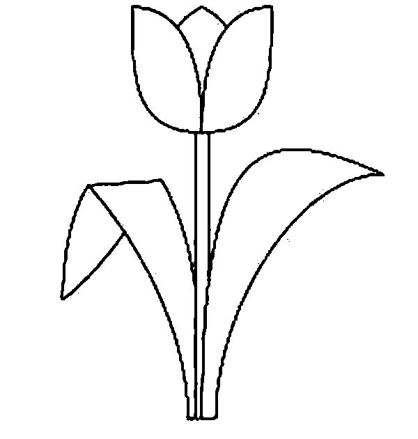 Dibujo para colorear: Tulipán (Naturaleza) #161668 - Dibujos para Colorear e Imprimir Gratis