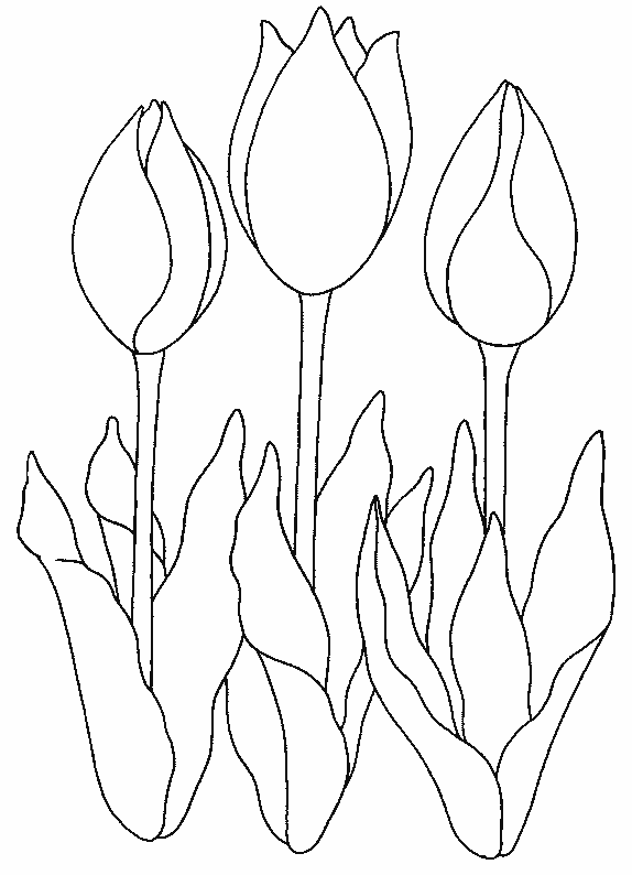 Dibujo para colorear: Tulipán (Naturaleza) #161674 - Dibujos para Colorear e Imprimir Gratis
