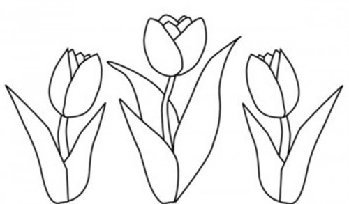Dibujo para colorear: Tulipán (Naturaleza) #161684 - Dibujos para Colorear e Imprimir Gratis