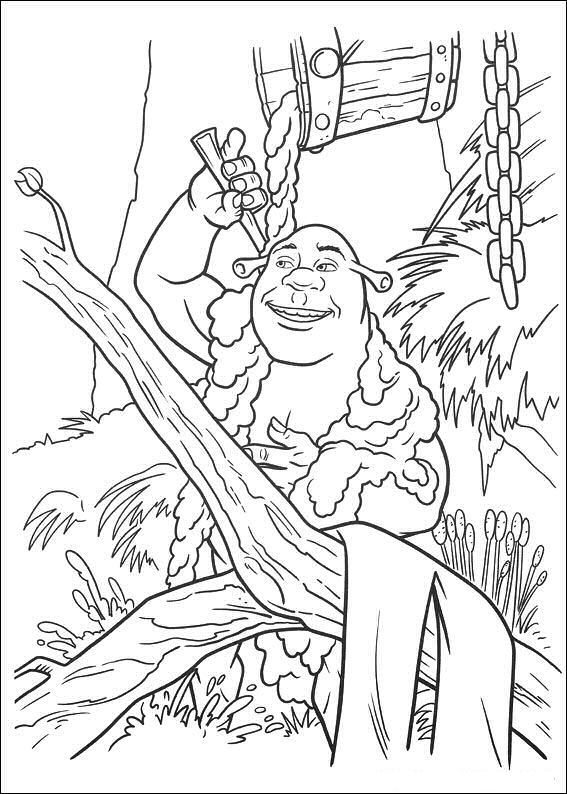 Dibujo para colorear: Shrek (Películas de animación) #115159 - Dibujos para Colorear e Imprimir Gratis