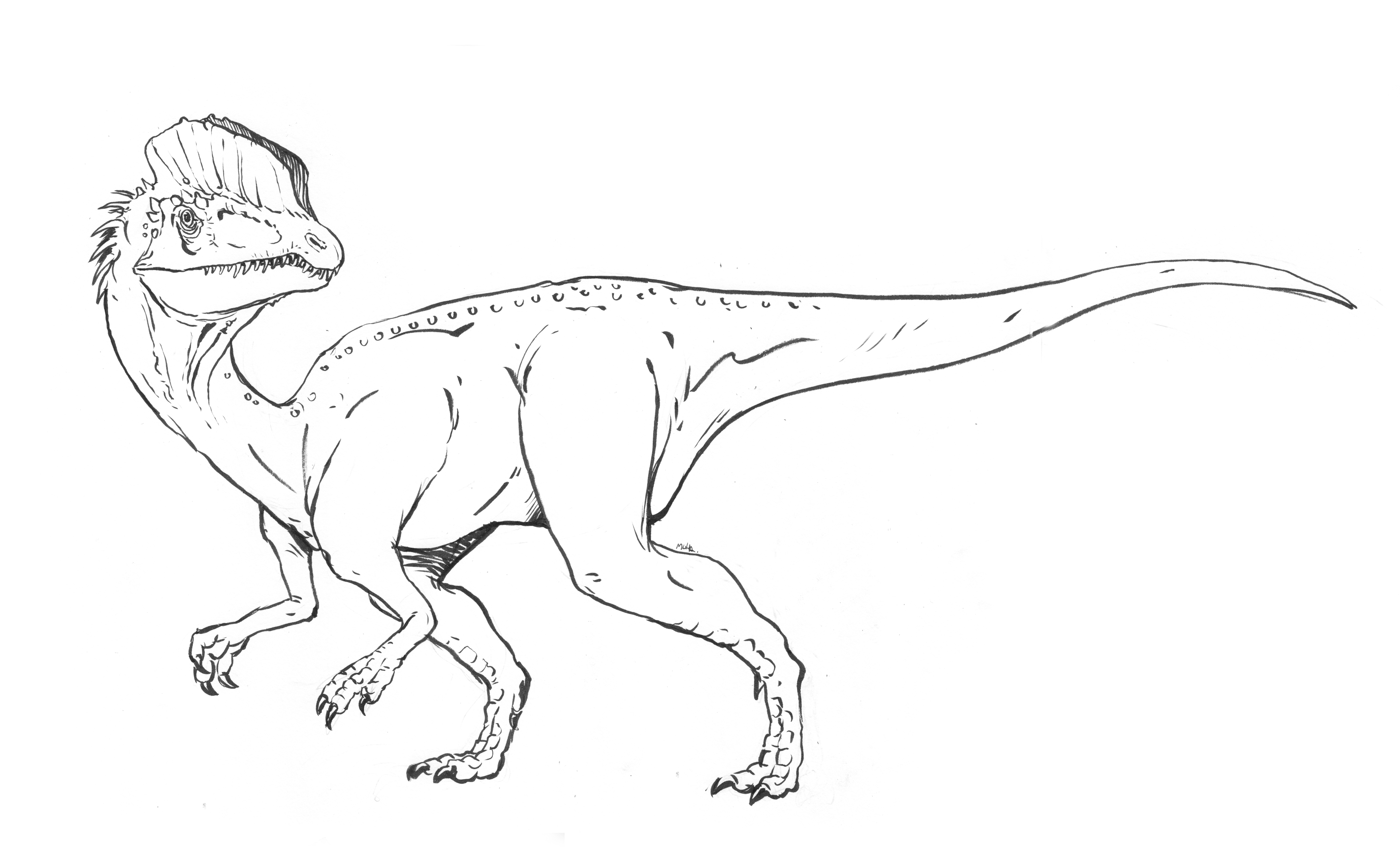 Dibujo para colorear: Jurassic Park (Películas) #16001 - Dibujos para Colorear e Imprimir Gratis