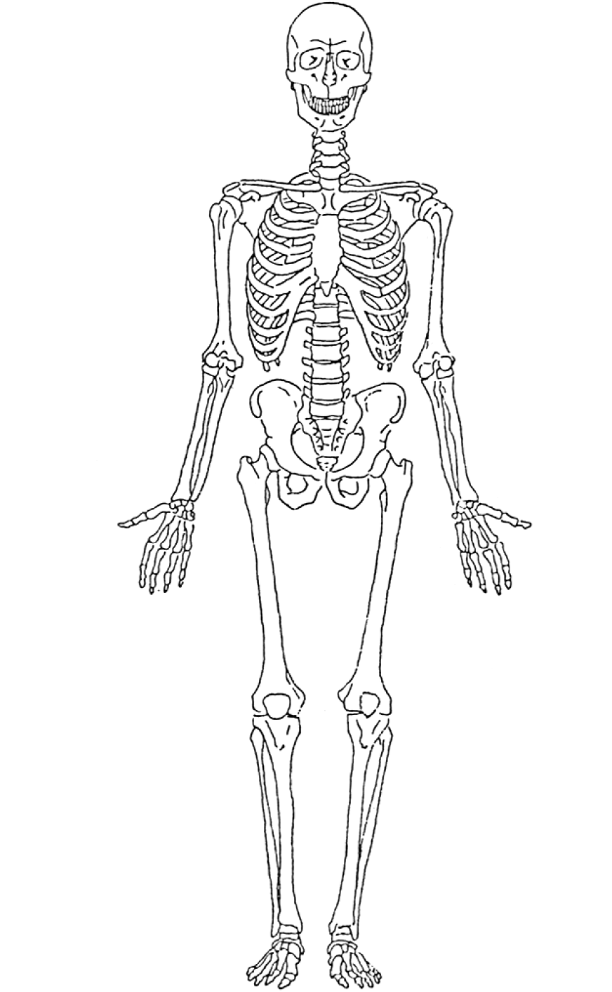 Dibujo para colorear: Esqueleto (Personajes) #147424 - Dibujos para Colorear e Imprimir Gratis