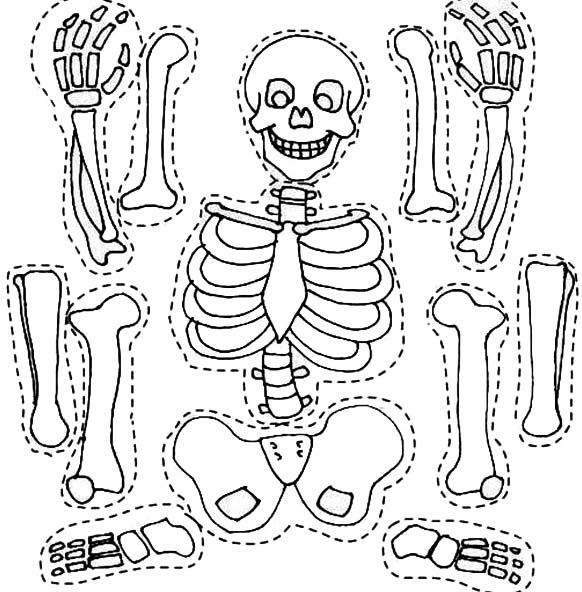 Dibujo para colorear: Esqueleto (Personajes) #147464 - Dibujos para Colorear e Imprimir Gratis