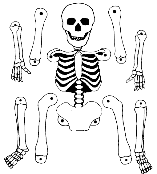 Dibujo para colorear: Esqueleto (Personajes) #147465 - Dibujos para Colorear e Imprimir Gratis