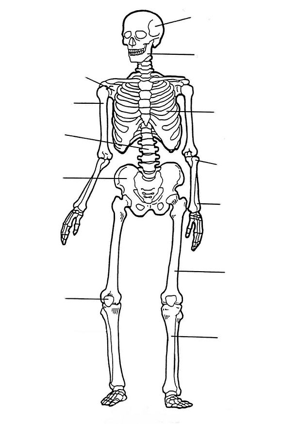 Dibujo para colorear: Esqueleto (Personajes) #147522 - Dibujos para Colorear e Imprimir Gratis