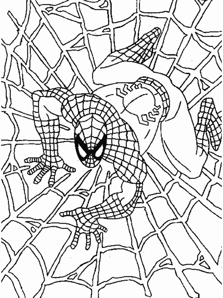 Dibujo para colorear: Spiderman (Superhéroes) #78644 - Dibujos para Colorear e Imprimir Gratis