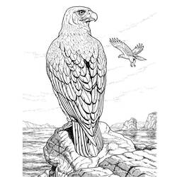 Dibujo para colorear: Águila (Animales) #277 - Dibujos para Colorear e Imprimir Gratis