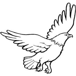 Dibujo para colorear: Águila (Animales) #284 - Dibujos para Colorear e Imprimir Gratis