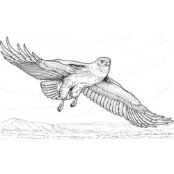 Dibujo para colorear: Águila (Animales) #287 - Dibujos para Colorear e Imprimir Gratis