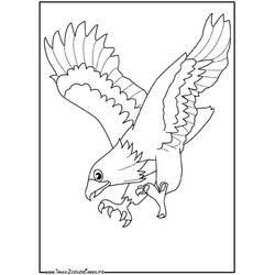 Dibujo para colorear: Águila (Animales) #290 - Dibujos para Colorear e Imprimir Gratis