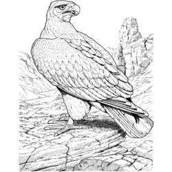 Dibujo para colorear: Águila (Animales) #291 - Dibujos para Colorear e Imprimir Gratis