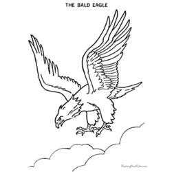 Dibujo para colorear: Águila (Animales) #293 - Dibujos para Colorear e Imprimir Gratis