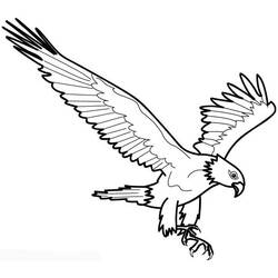 Dibujo para colorear: Águila (Animales) #294 - Dibujos para Colorear e Imprimir Gratis