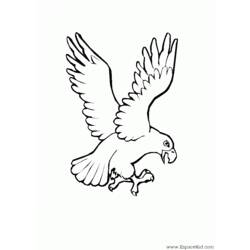 Dibujo para colorear: Águila (Animales) #303 - Dibujos para Colorear e Imprimir Gratis
