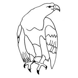 Dibujo para colorear: Águila (Animales) #316 - Dibujos para Colorear e Imprimir Gratis
