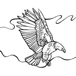 Dibujo para colorear: Águila (Animales) #333 - Dibujos para Colorear e Imprimir Gratis