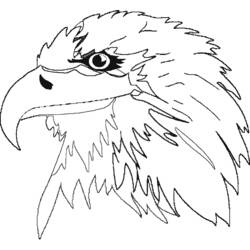 Dibujo para colorear: Águila (Animales) #341 - Dibujos para Colorear e Imprimir Gratis