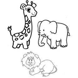 Dibujo para colorear: Animales de circo (Animales) #20785 - Dibujos para Colorear e Imprimir Gratis