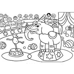 Dibujo para colorear: Animales de circo (Animales) #20789 - Dibujos para Colorear e Imprimir Gratis