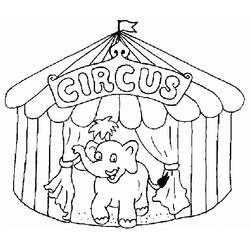 Dibujo para colorear: Animales de circo (Animales) #20807 - Dibujos para Colorear e Imprimir Gratis