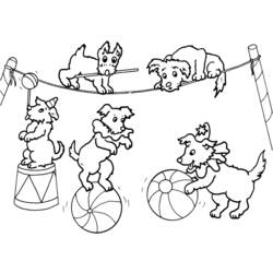Dibujo para colorear: Animales de circo (Animales) #20854 - Dibujos para Colorear e Imprimir Gratis