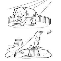 Dibujo para colorear: Animales de circo (Animales) #20978 - Dibujos para Colorear e Imprimir Gratis