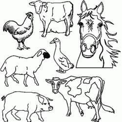 Dibujo para colorear: Animales de granja (Animales) #21427 - Dibujos para Colorear e Imprimir Gratis
