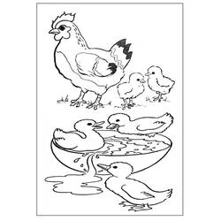 Dibujo para colorear: Animales de granja (Animales) #21440 - Dibujos para Colorear e Imprimir Gratis