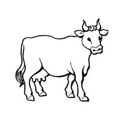 Dibujo para colorear: Animales de granja (Animales) #21456 - Dibujos para Colorear e Imprimir Gratis