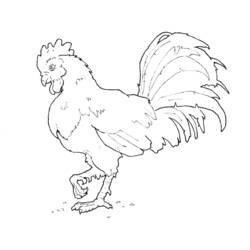 Dibujo para colorear: Animales de granja (Animales) #21596 - Dibujos para Colorear e Imprimir Gratis