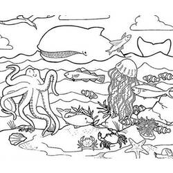 Dibujo para colorear: Animales marinos (Animales) #21989 - Dibujos para Colorear e Imprimir Gratis