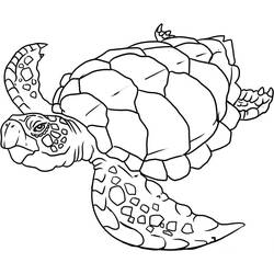 Dibujo para colorear: Animales marinos (Animales) #22001 - Dibujos para Colorear e Imprimir Gratis