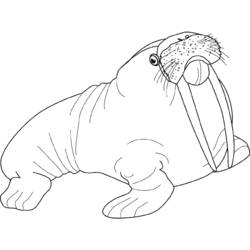 Dibujo para colorear: Animales marinos (Animales) #22006 - Dibujos para Colorear e Imprimir Gratis