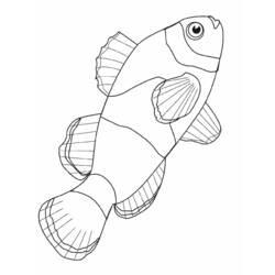 Dibujo para colorear: Animales marinos (Animales) #22016 - Dibujos para Colorear e Imprimir Gratis