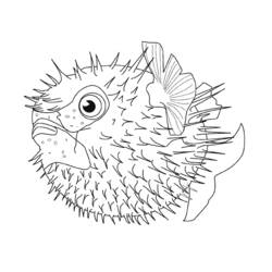 Dibujo para colorear: Animales marinos (Animales) #22034 - Dibujos para Colorear e Imprimir Gratis