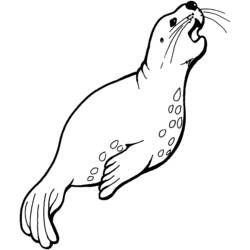 Dibujo para colorear: Animales marinos (Animales) #22065 - Dibujos para Colorear e Imprimir Gratis
